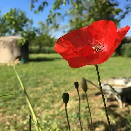 Maison d'hôtes La Bastide Saint-Julien (Var)
